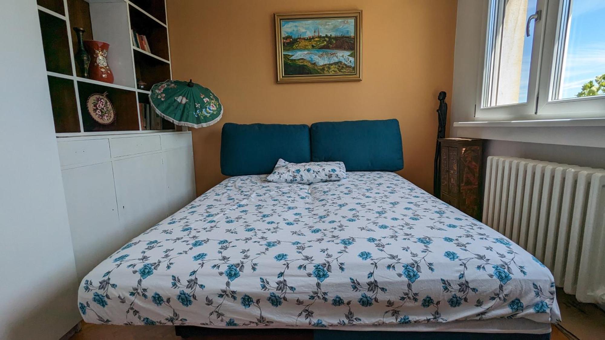 Center, Private Garage, Danube & Fortress, 3 Bdrm 2 Bath Novi Sad Bagian luar foto